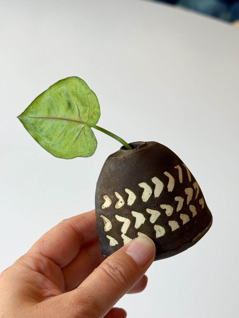 Issaki kiln - Mini bud vase, Brown