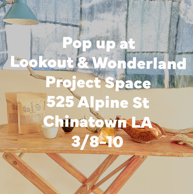 Pop-Up Event at Lookout & Wonderland Project Space in Chinatown LA, March 8th-10th