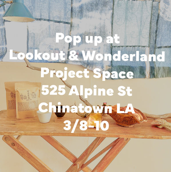 Pop-Up Event at Lookout & Wonderland Project Space in Chinatown LA, March 8th-10th