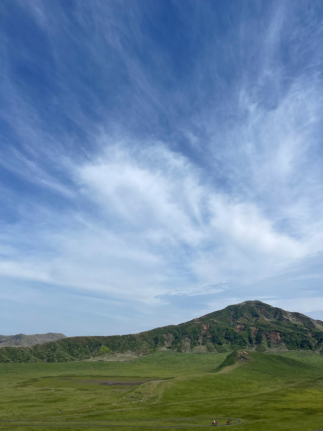 Savor the Essence of Kumamoto - Yoka Good Tea!