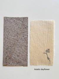 Washi Paper - Letter set