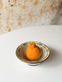 Fumoto Kiln - Salad Bowl