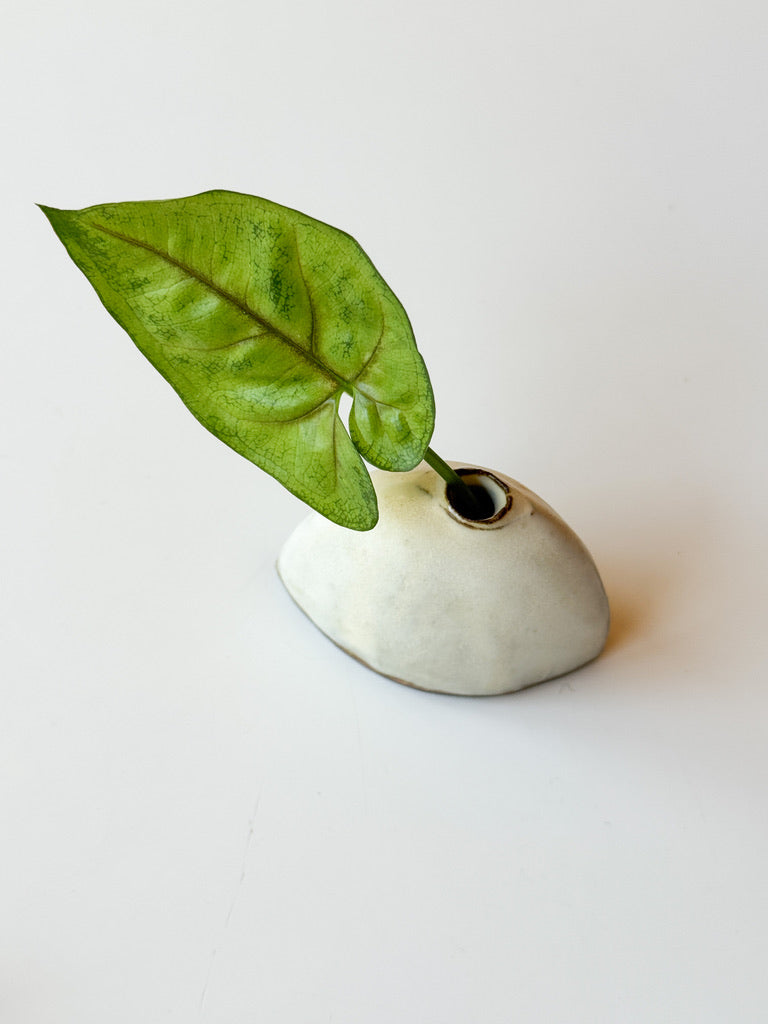 Issaki kiln - Mini bud vase, White