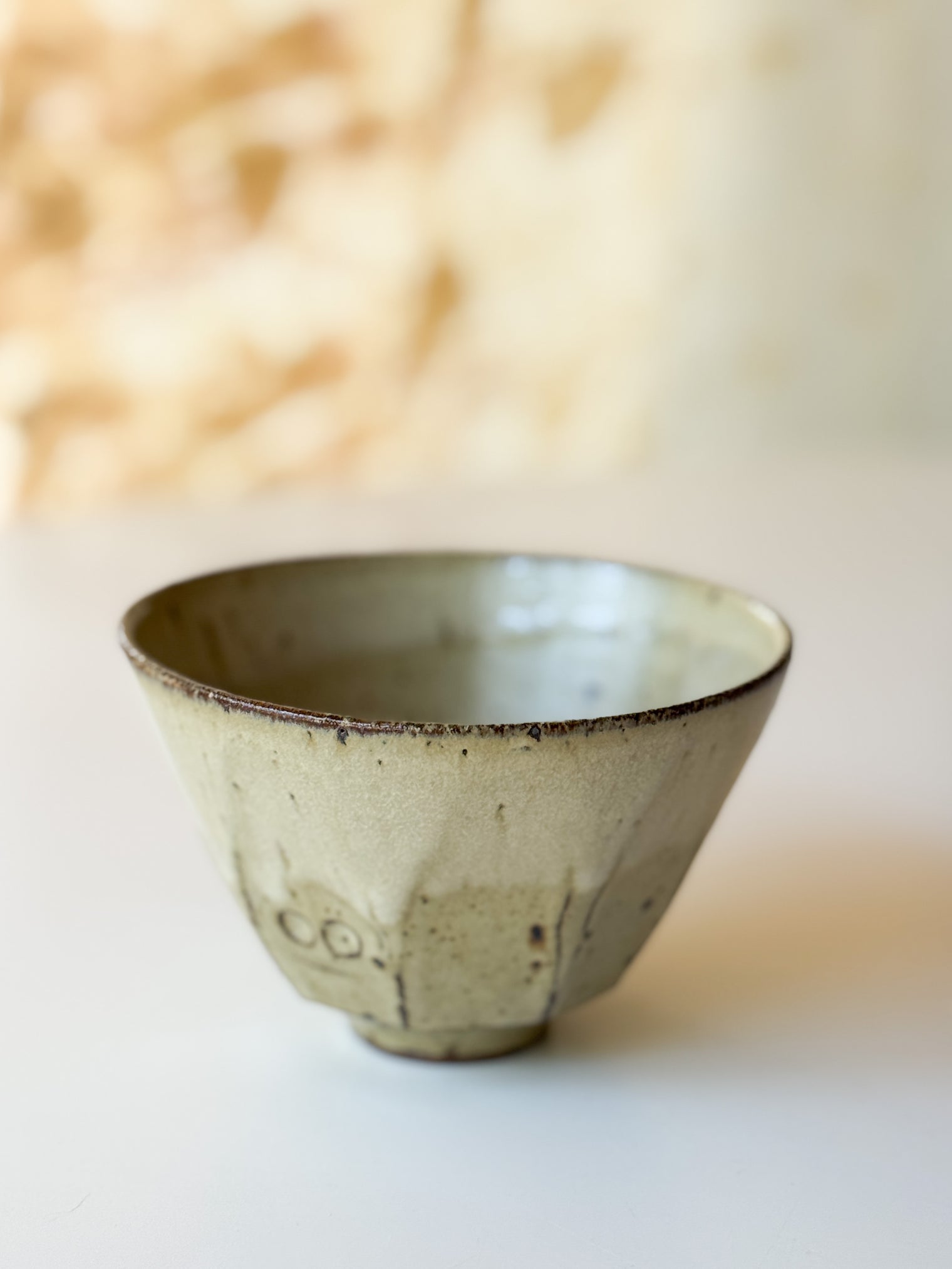 Yamanokuchi Kiln - "Pig" bowl set