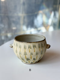 Issaki kiln -  "Hanabi" Bowl with ears