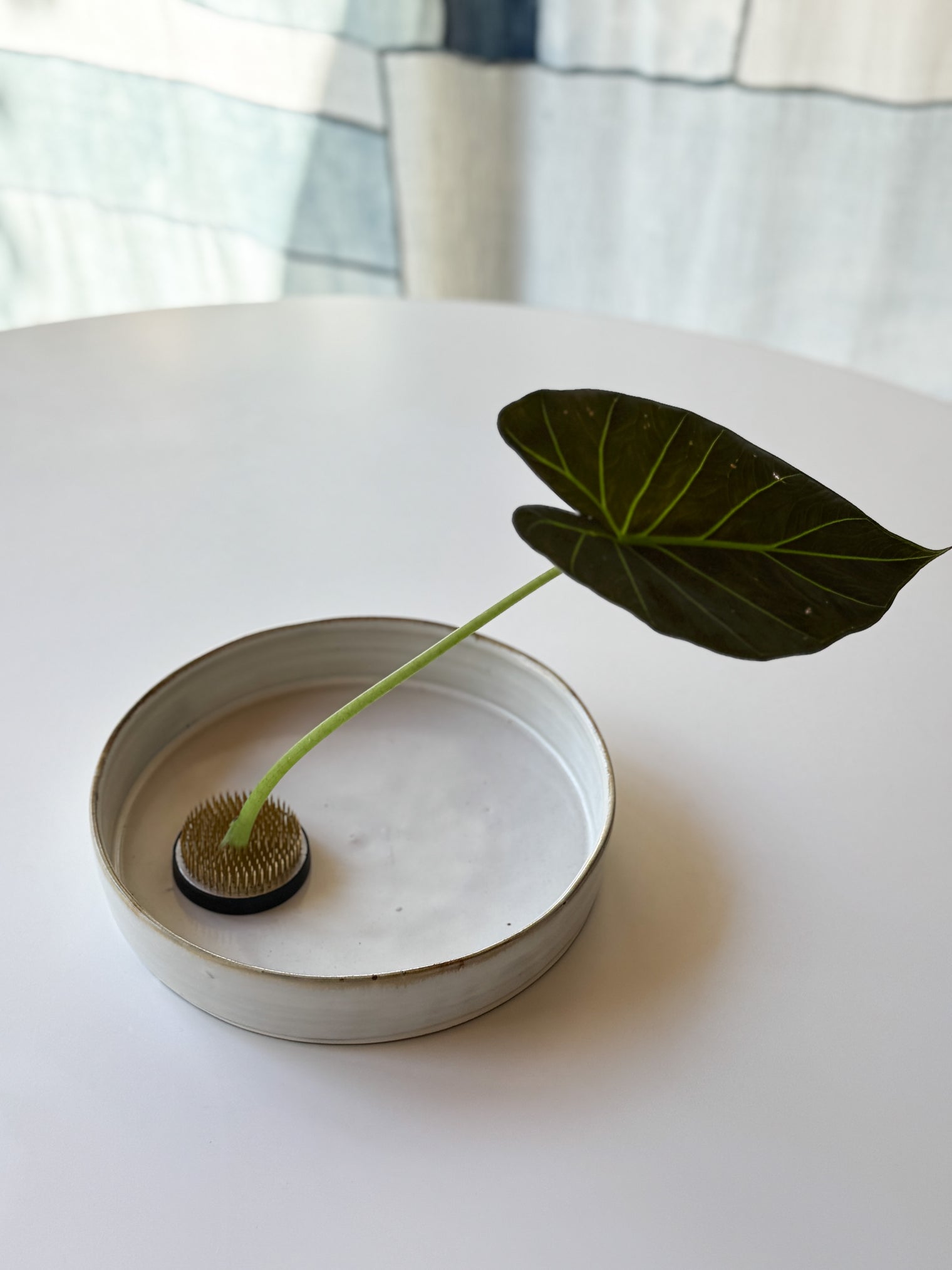 Yamanokuchi Kiln - Flat bottom Plate/Tray