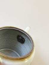Load image into Gallery viewer, Yamanokuchi Kiln-  Tea pot, &quot;Squash&quot;
