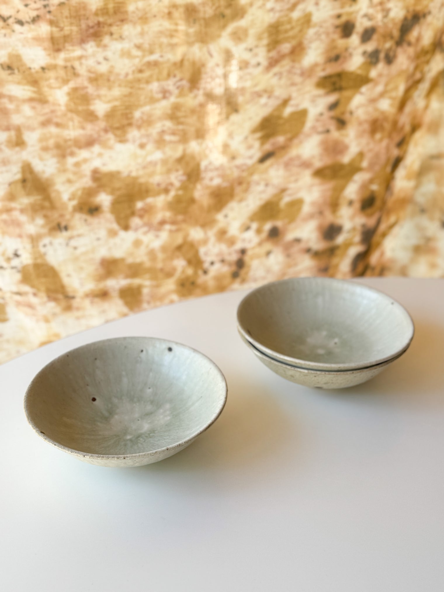 Moriyama Kiln - "Asabachi" shallow bowl