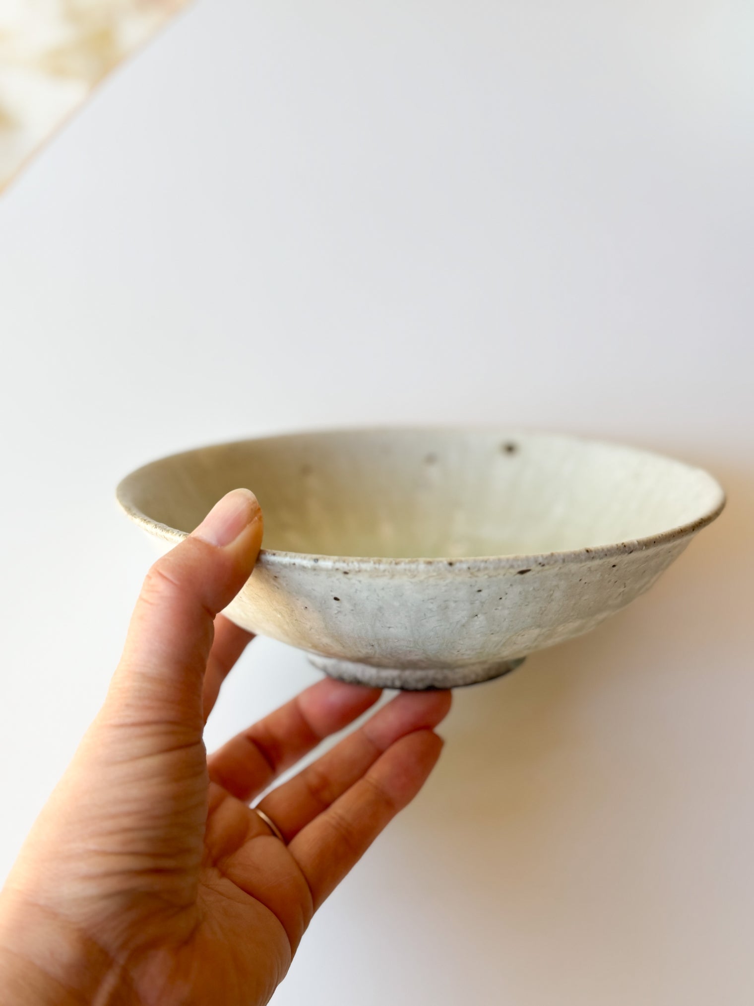 Moriyama Kiln - "Asabachi" shallow bowl