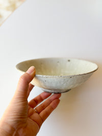Moriyama Kiln - "Asabachi" shallow bowl