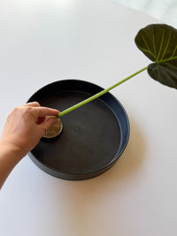 Yamanokuchi Kiln - Flat bottom Plate/Tray