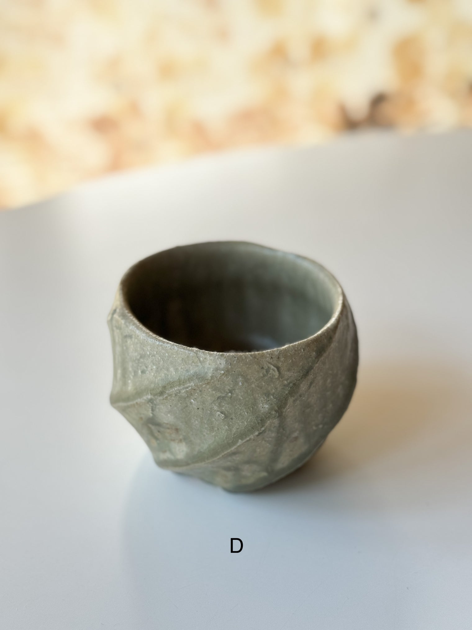 Mugihiko Kitagawa - Vegetable Dyed Shinogi Cup