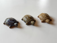 Nakadera kiln - Tortoise Paperweight