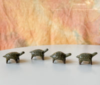 Nakadera kiln - Turtles