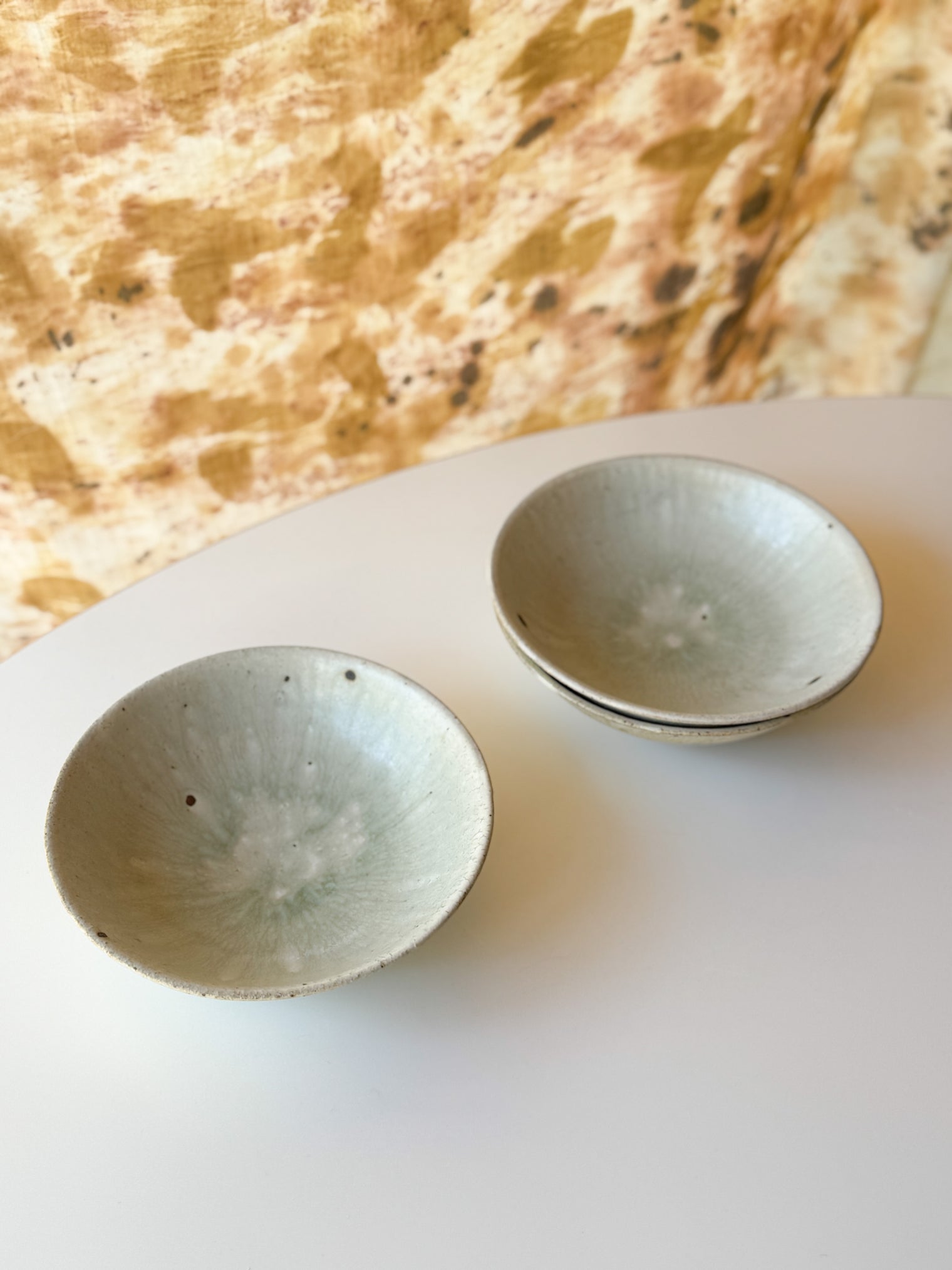 Moriyama Kiln - "Asabachi" shallow bowl