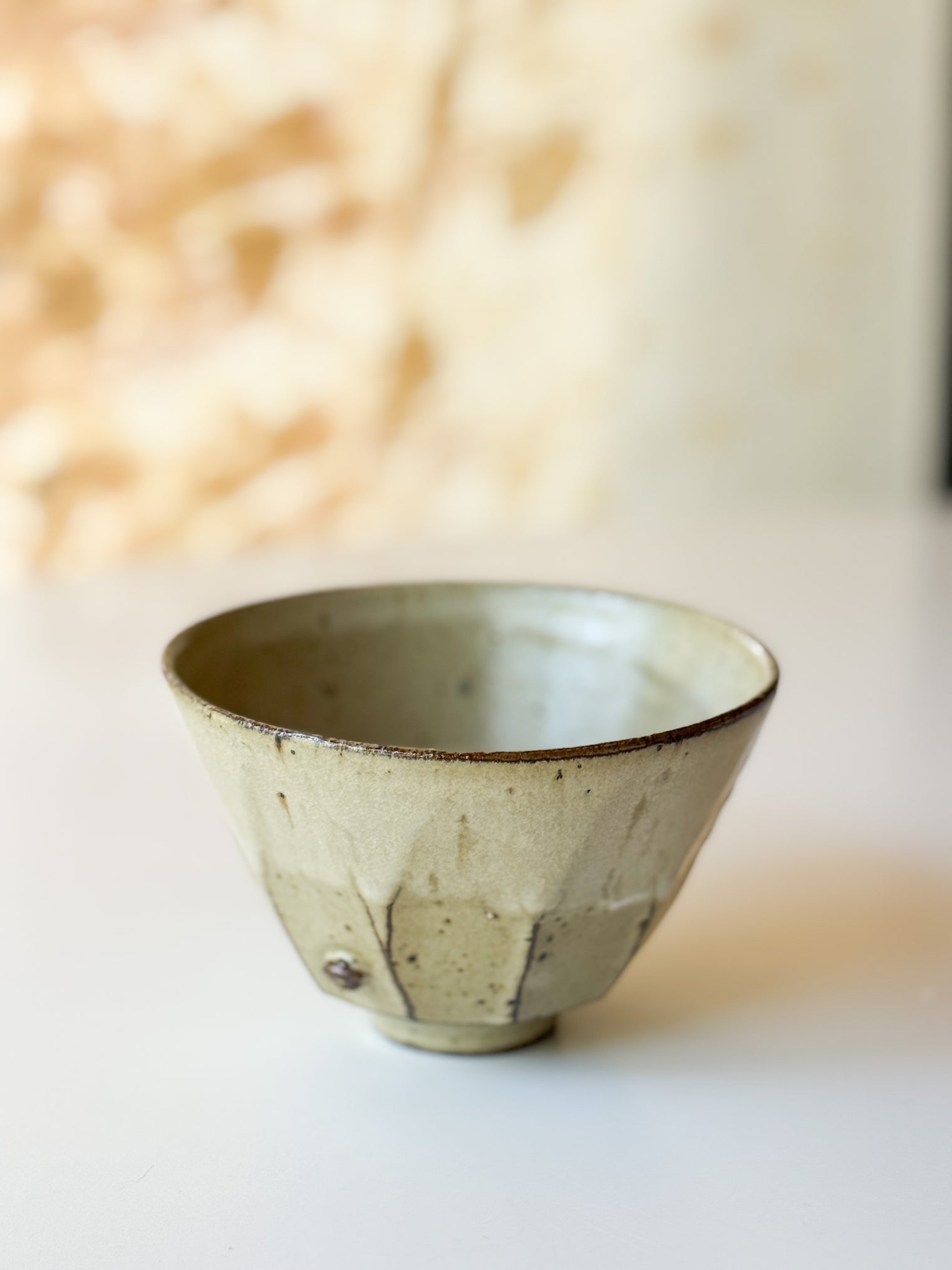 Yamanokuchi Kiln - "Pig" bowl set