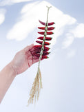 Takubo Straw Decoration, Togarashi Kazari, Red Pepper,  Yoka Good Things